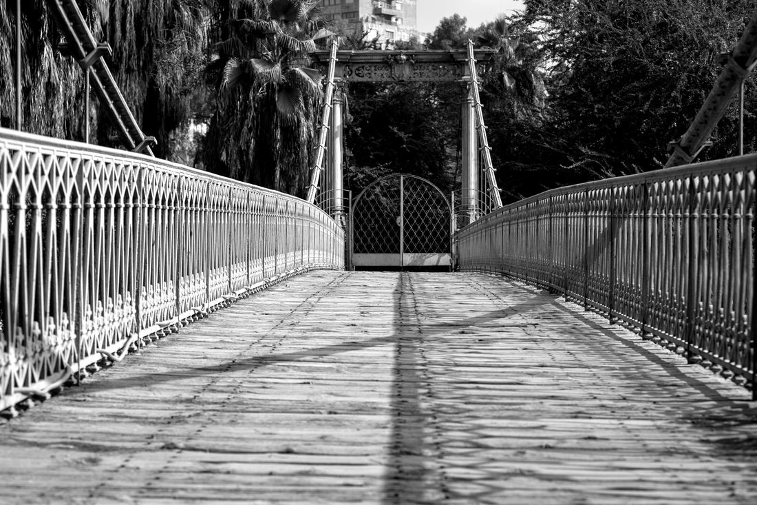 The bridge deck
